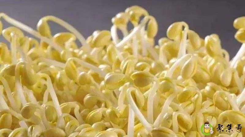 拔豆芽网络是什么意思