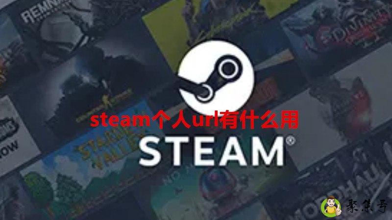 详细阅读:steam个人url有什么用 steam个人url有什么用