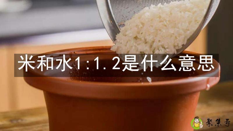 详细阅读:米和水1-1.2是什么意思 米和水1-1.2是什么意思