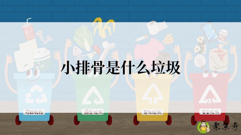 详细阅读:小排骨是什么垃圾 小排骨是什么垃圾