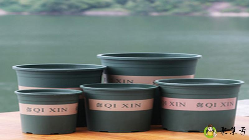 详细阅读:加仑盆什么意思 加仑盆什么意思