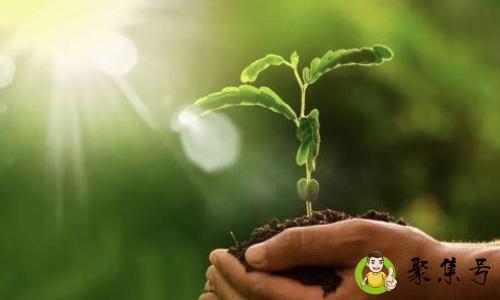 现世报应是什么意思