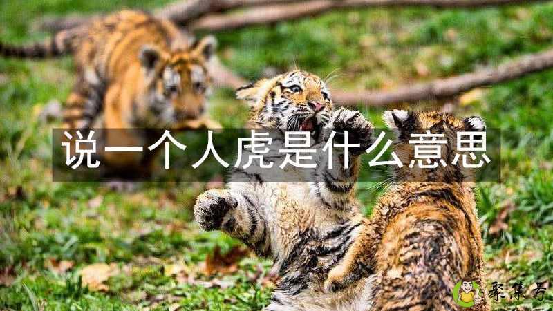 说一个人虎是什么意思