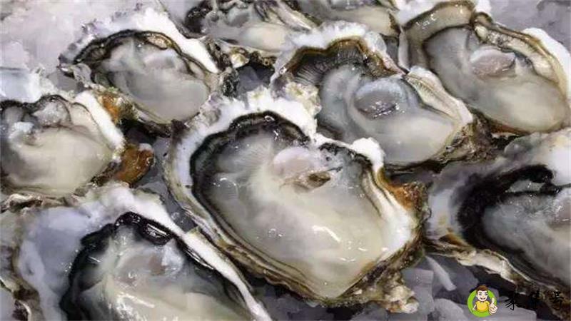 生蚝的储存冷冻还是冷藏