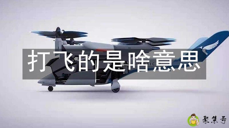 打飞的是啥意思