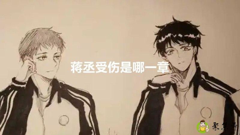 蒋丞受伤是哪一章