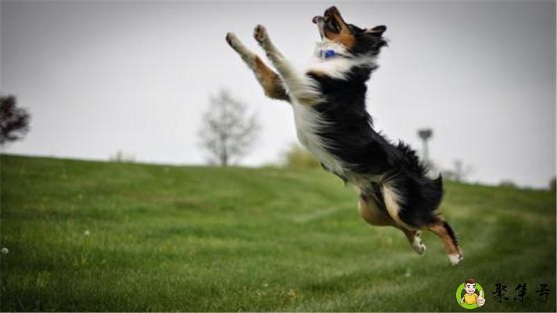 噌的一下是什么意思