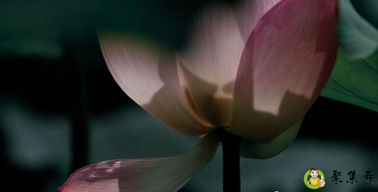 夏至和立夏有什么区别