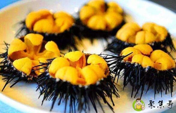 海胆吃的是哪个部位