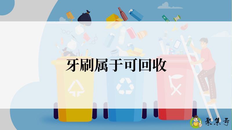 牙刷属于可回收