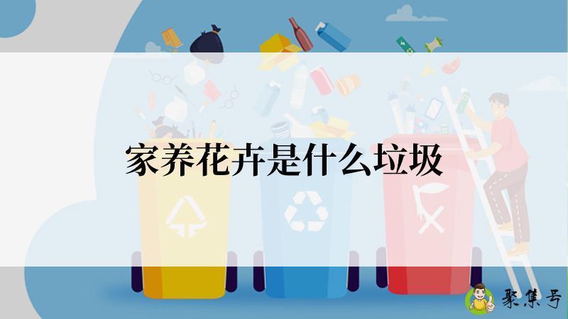 家养花卉是什么垃圾