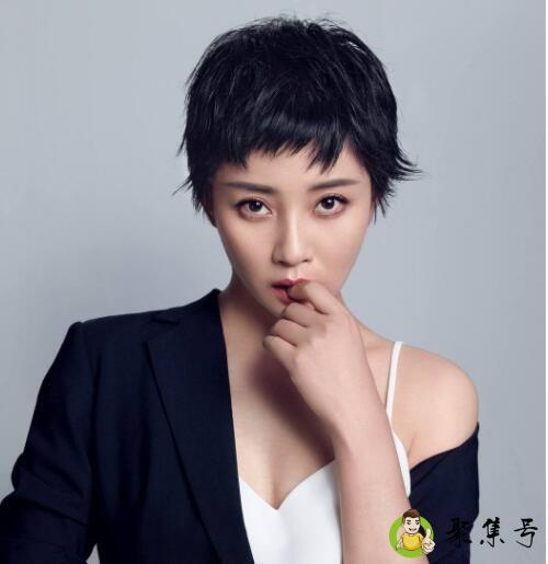 殷桃主演的电视剧