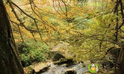 山卡卡是什么意思