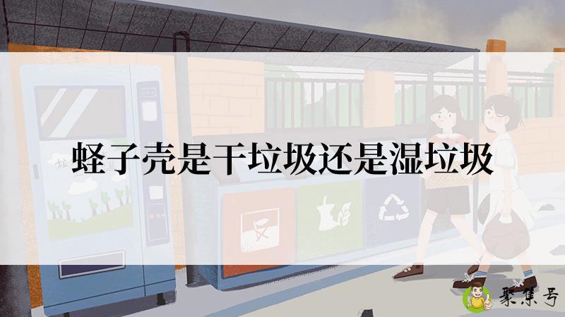 蛏子壳是干垃圾还是湿垃圾