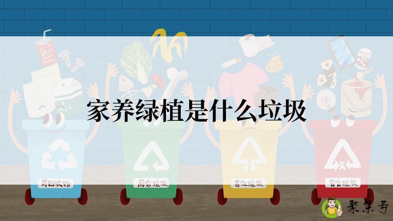 家养绿植是什么垃圾