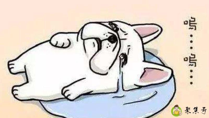 福无双至,祸不单行什么意思