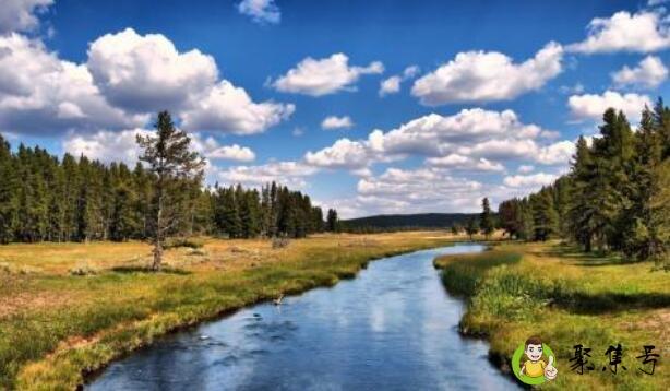 生态系统的特征