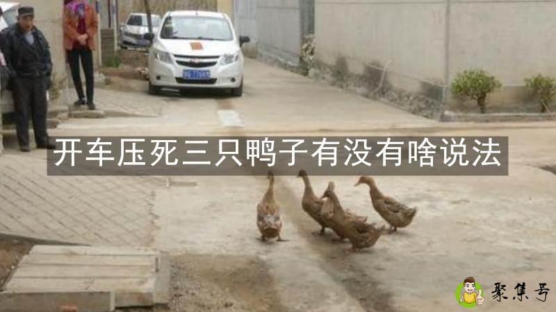 开车压死三只鸭子有没有啥说法