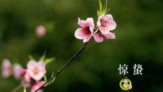 详细阅读:节气惊蛰是什么意思 节气惊蛰是什么意思