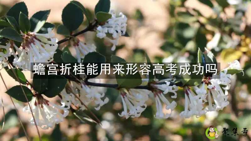 详细阅读:蟾宫折桂能用来形容高考成功吗 蟾宫折桂能用来形容高考成功吗