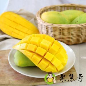 详细阅读:青忙果怎么才算熟了 青忙果怎么才算熟了