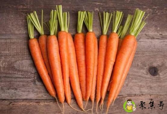 详细阅读:胡萝卜叶子能吃吗有什么功效 胡萝卜叶子能吃吗有什么功效