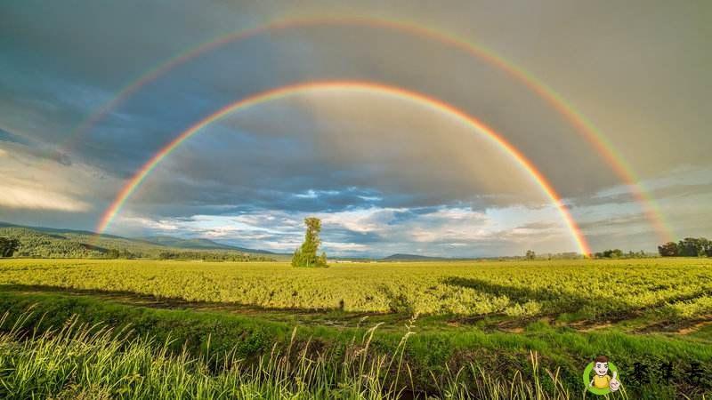 详细阅读:斯人如虹什么意思 斯人如虹什么意思