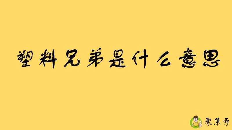 塑料兄弟是什么意思