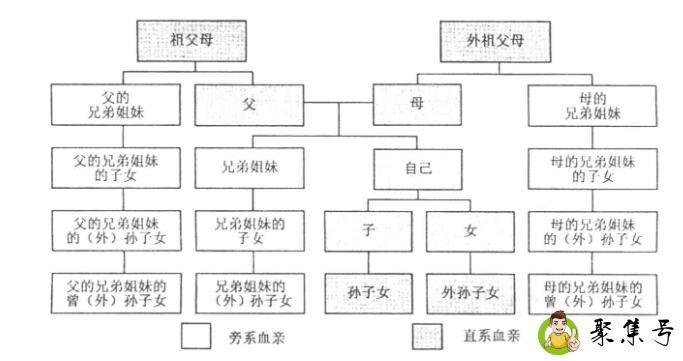 姻亲是血亲的一部分吗
