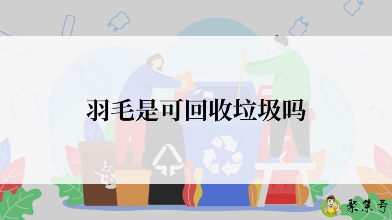 羽毛是可回收垃圾吗
