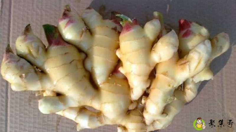 水洗姜和老姜的区别