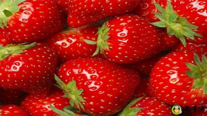 去除草莓污渍的小妙招