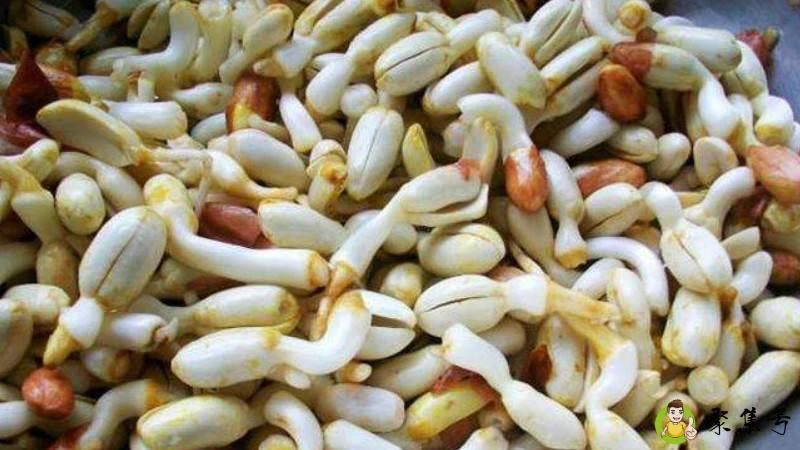 花生出牙还能吃吗