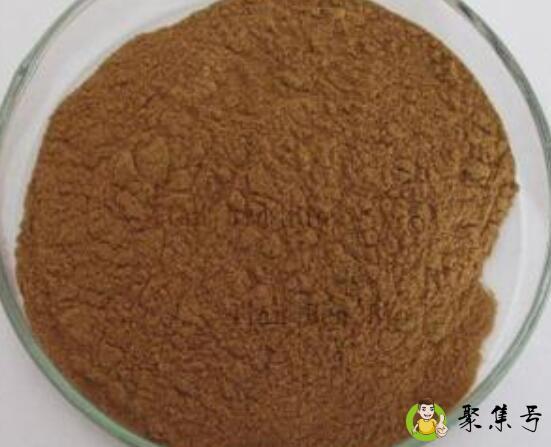 灵芝粉和灵芝孢子粉的区别