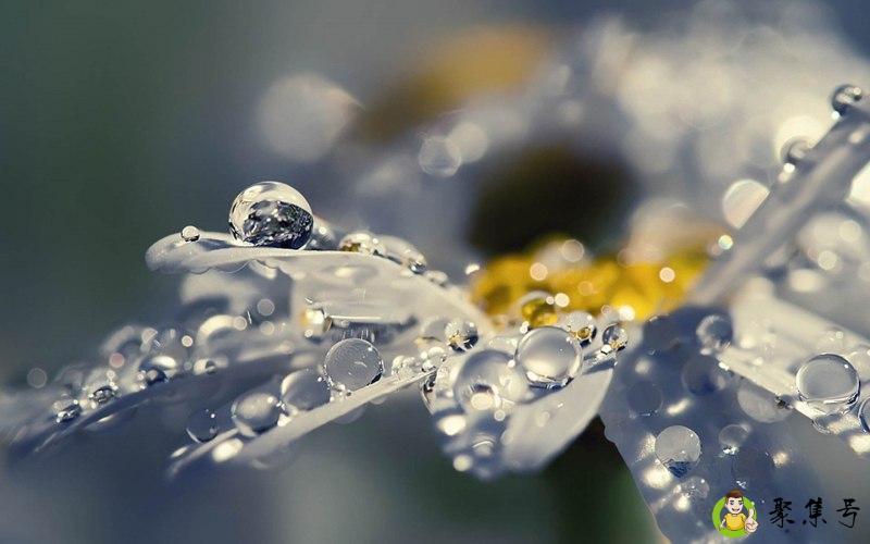 新司gai是什么意思