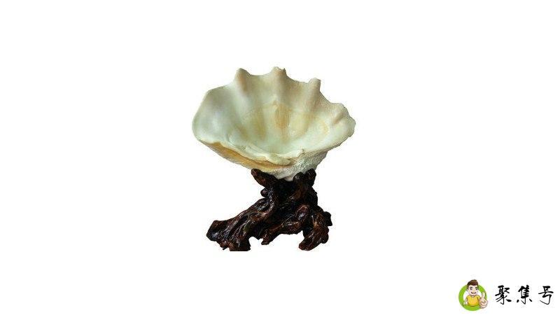 详细阅读:砗磲玉化和不玉华化的区别 砗磲玉化和不玉华化的区别