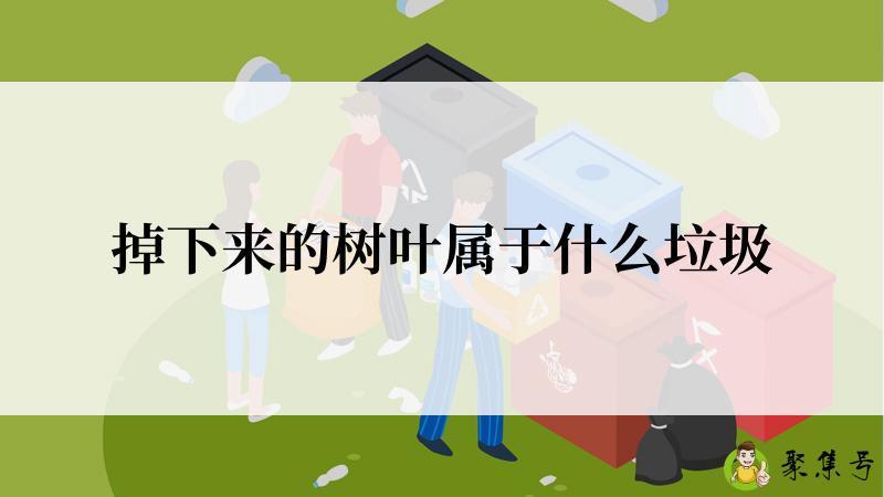 详细阅读:掉下来的树叶属于什么垃圾 掉下来的树叶属于什么垃圾