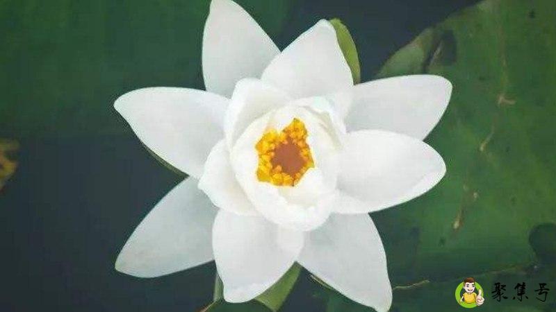 详细阅读:佛系女孩特征 佛系女孩特征