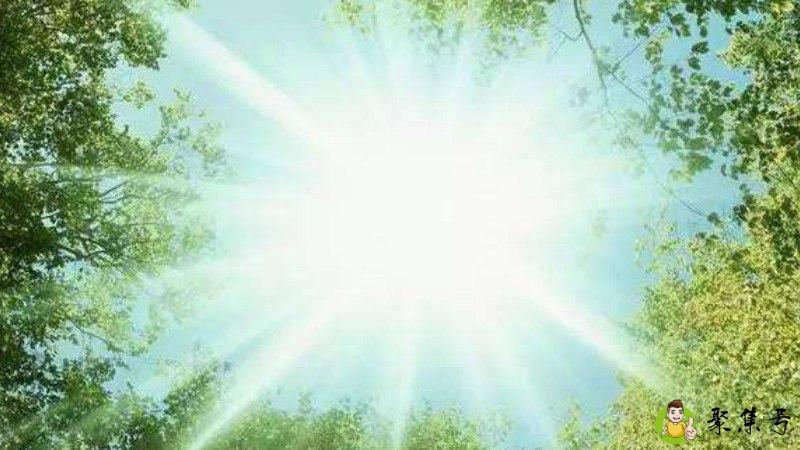 详细阅读:伏天分为几伏 伏天分为几伏