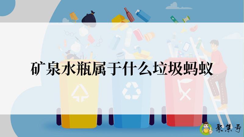 矿泉水瓶属于什么垃圾蚂蚁