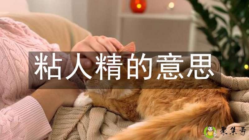 详细阅读:粘人精的意思 粘人精的意思