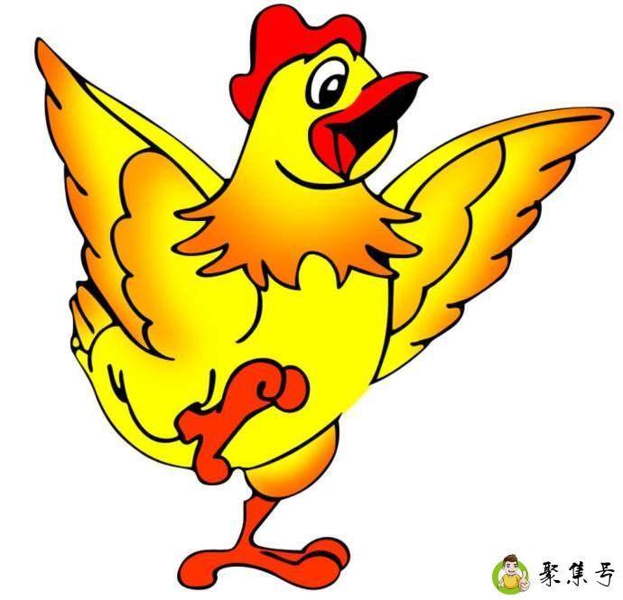 详细阅读:鸡的翅膀有什么特点 鸡的翅膀有什么特点