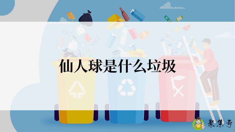 详细阅读:仙人球是什么垃圾 仙人球是什么垃圾