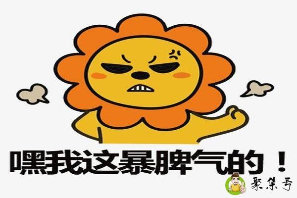 详细阅读:惹毛了是什么意思 惹毛了是什么意思