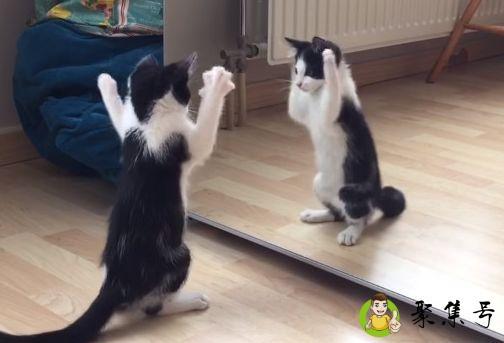 戴眼镜照镜子真实吗