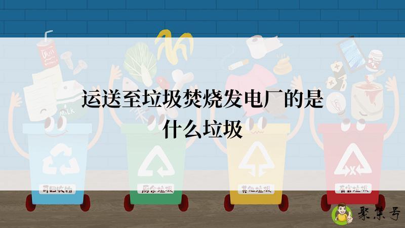 运送至垃圾焚烧发电厂的是什么垃圾