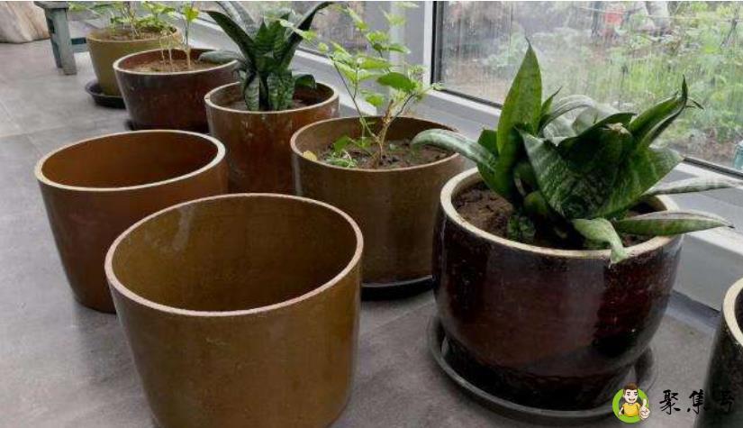 花盆下面为什么有孔