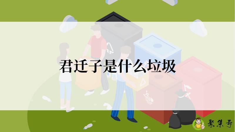 君迁子是什么垃圾