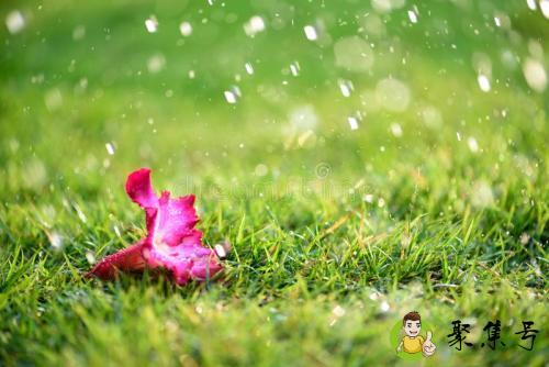 下雨前蜘蛛会跑哪儿