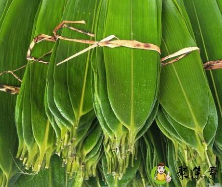 粽子叶是什么垃圾